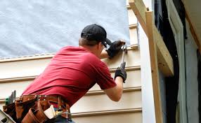 Best Custom Siding Design  in Alderson, WV